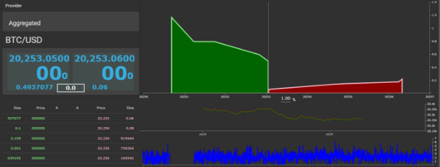 Limit Order Book