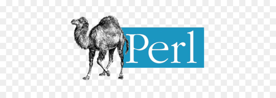 img of perl exit loop