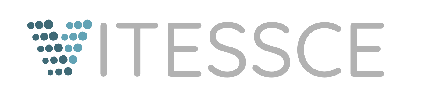 Vitessce logo
