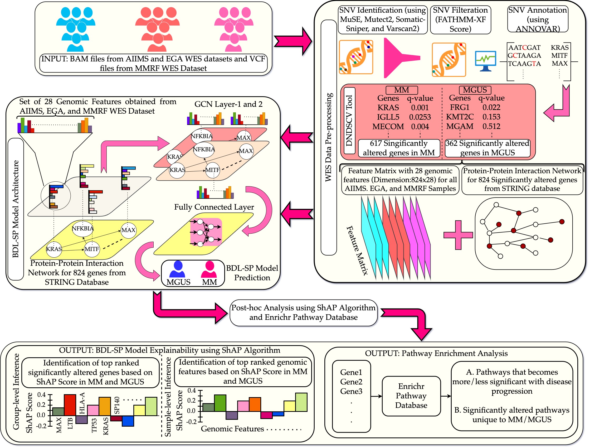 Inforgraphic Abstract of BDL-SP