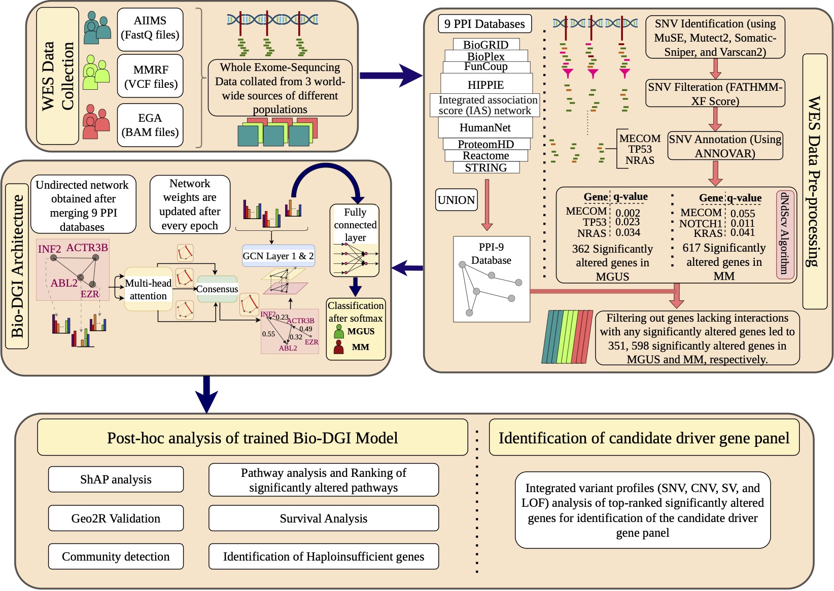 BIO-DGI graphical abstract showing genomic preprocessing, protein-interaction integration, graph learning, explainability, and panel construction