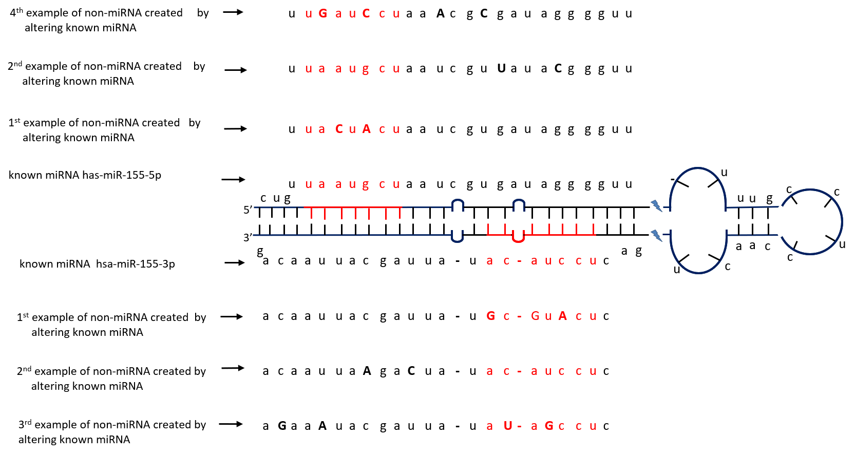 miRSim Synthetic Sequence Simulator