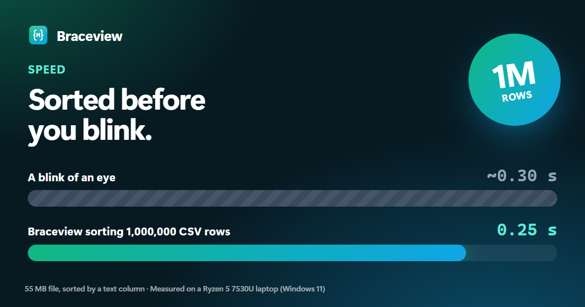 A blink takes about 0.30 s; Braceview sorts 1,000,000 CSV rows in 0.25 s