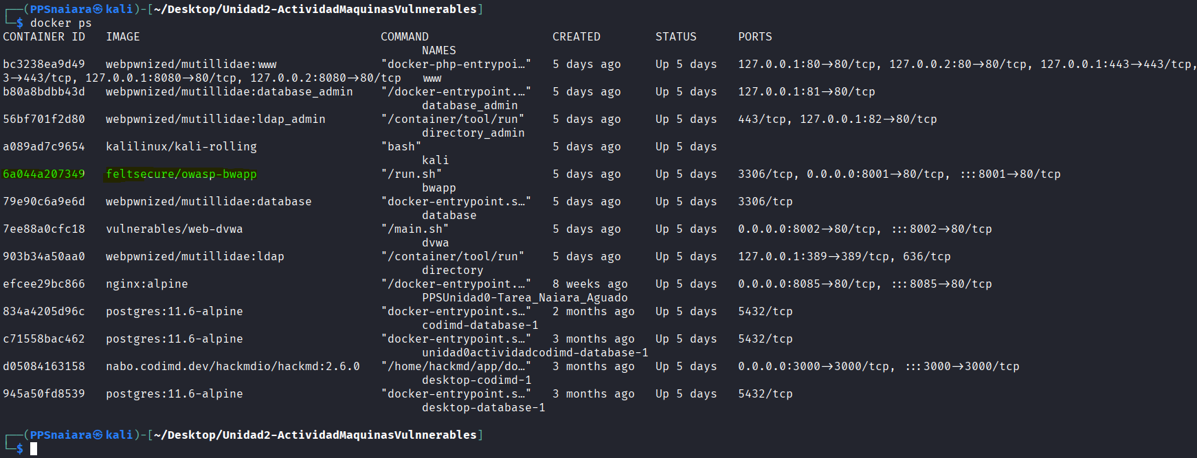 encontrar docker bwapp
