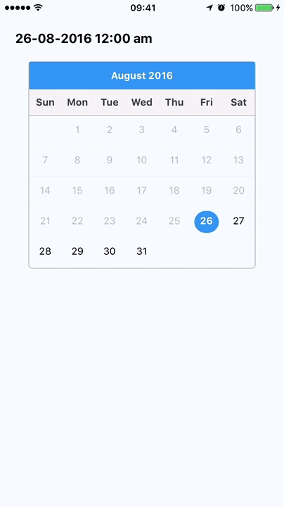 Custom Demo Example alt text