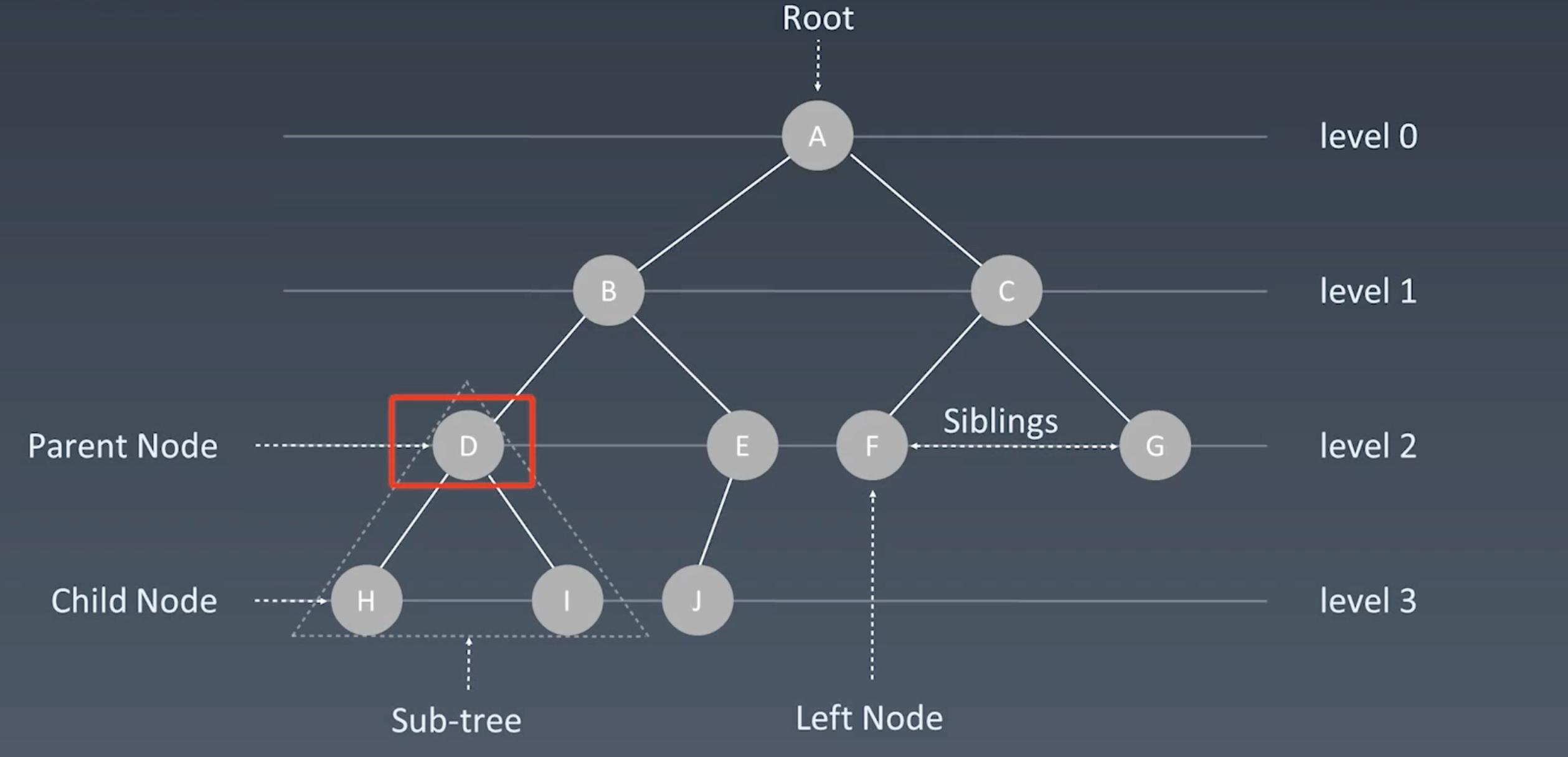 树 https://raw.githubusercontent.com/vlicecream/cloudImage/main/data/202302242223386.png
