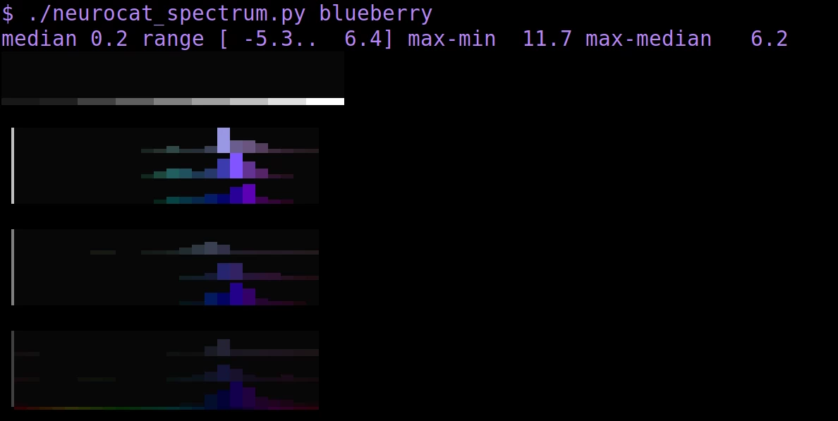 CLIP neural spectrum for 'blueberry'