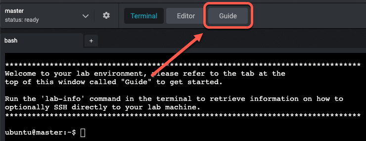 Terminal with Guide button