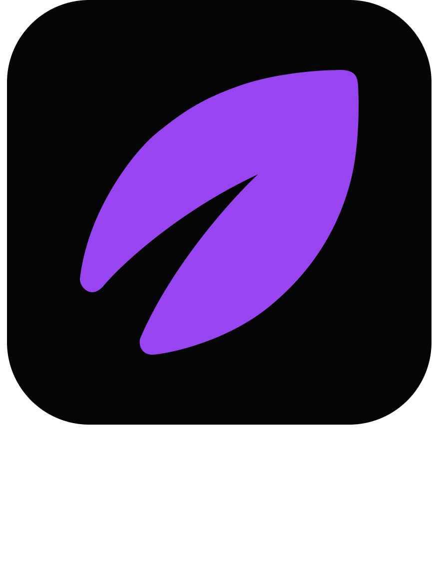 Voleeo logo