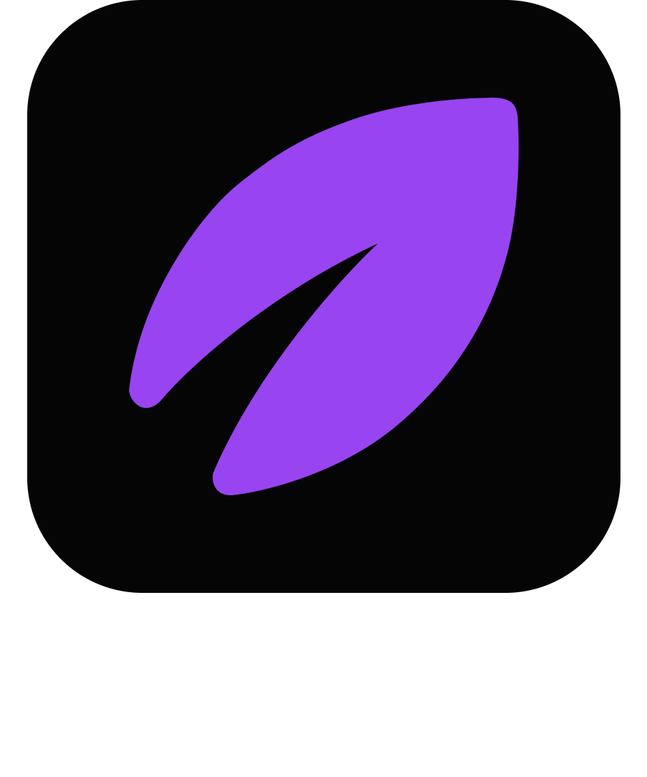 Voleeo logo