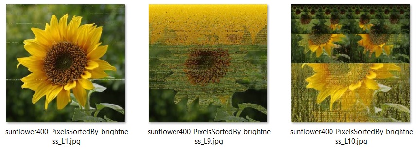Incomplete HeapSorting of an sunflower by brightness