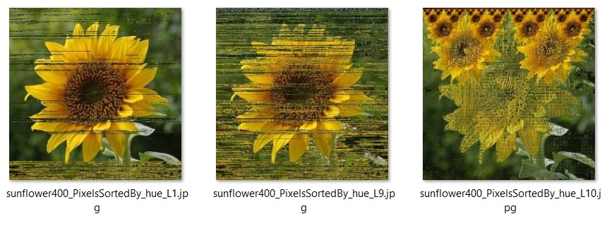 Incomplete HeapSorting of an sunflower by hue