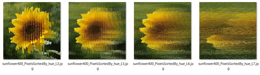 Incomplete Merge Sorting of an sunflower by hue