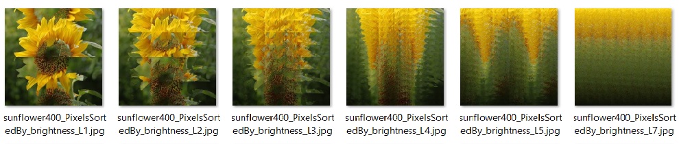 Incomplete Shell Sorting of an sunflower by brightness