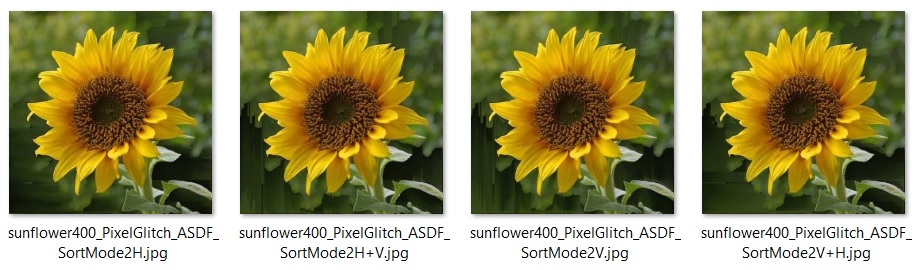 Glitch of an sunflower by kimasendorf mode 0