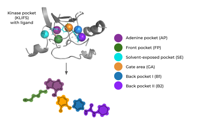 KinFragLib workflow