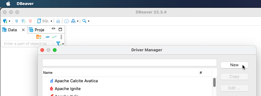 Driver manager new button