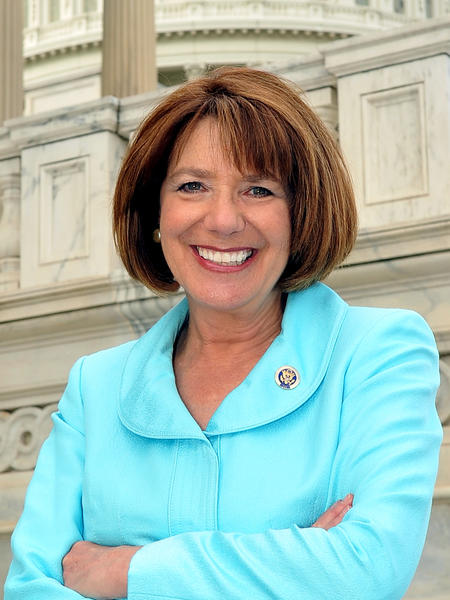 Susan A. Davis