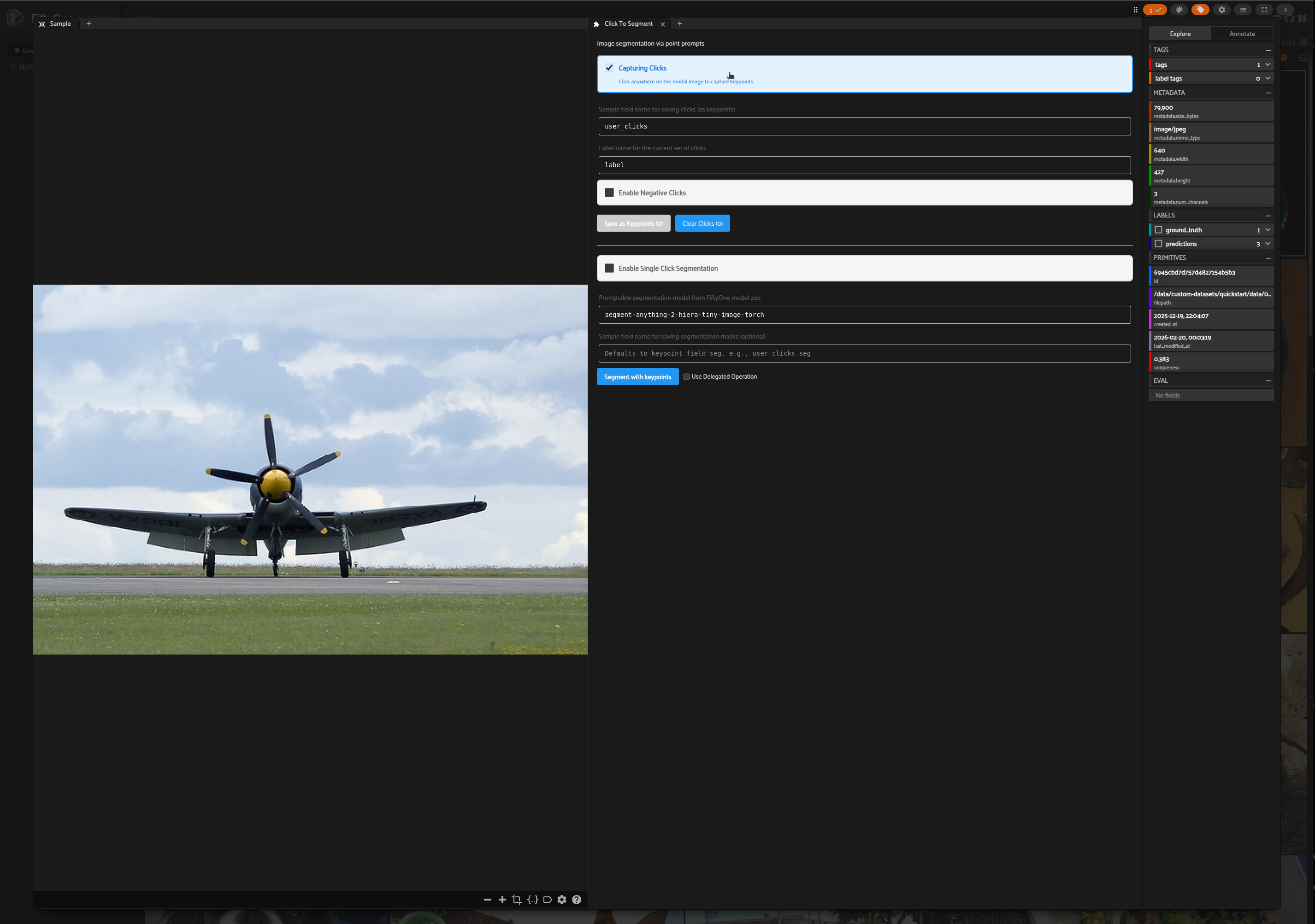 Click-To-Segment panel