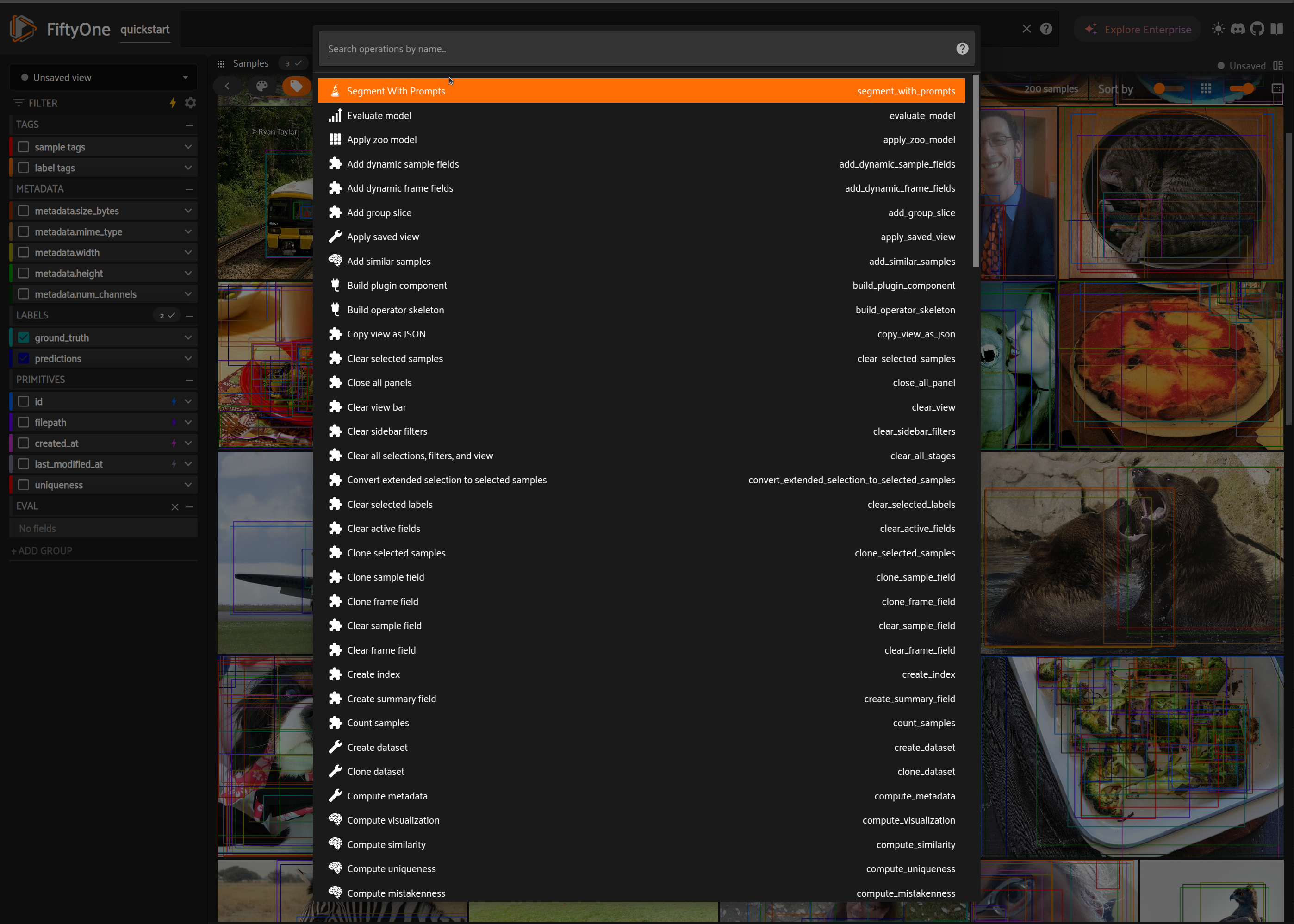 Segment-With-Prompts operator