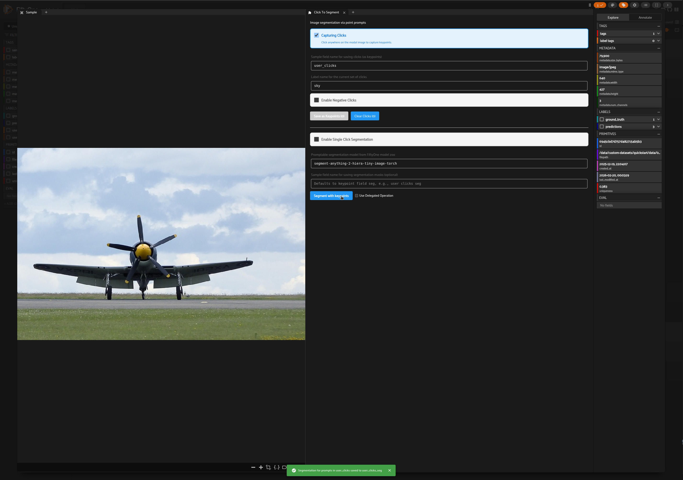 Segmentation successful