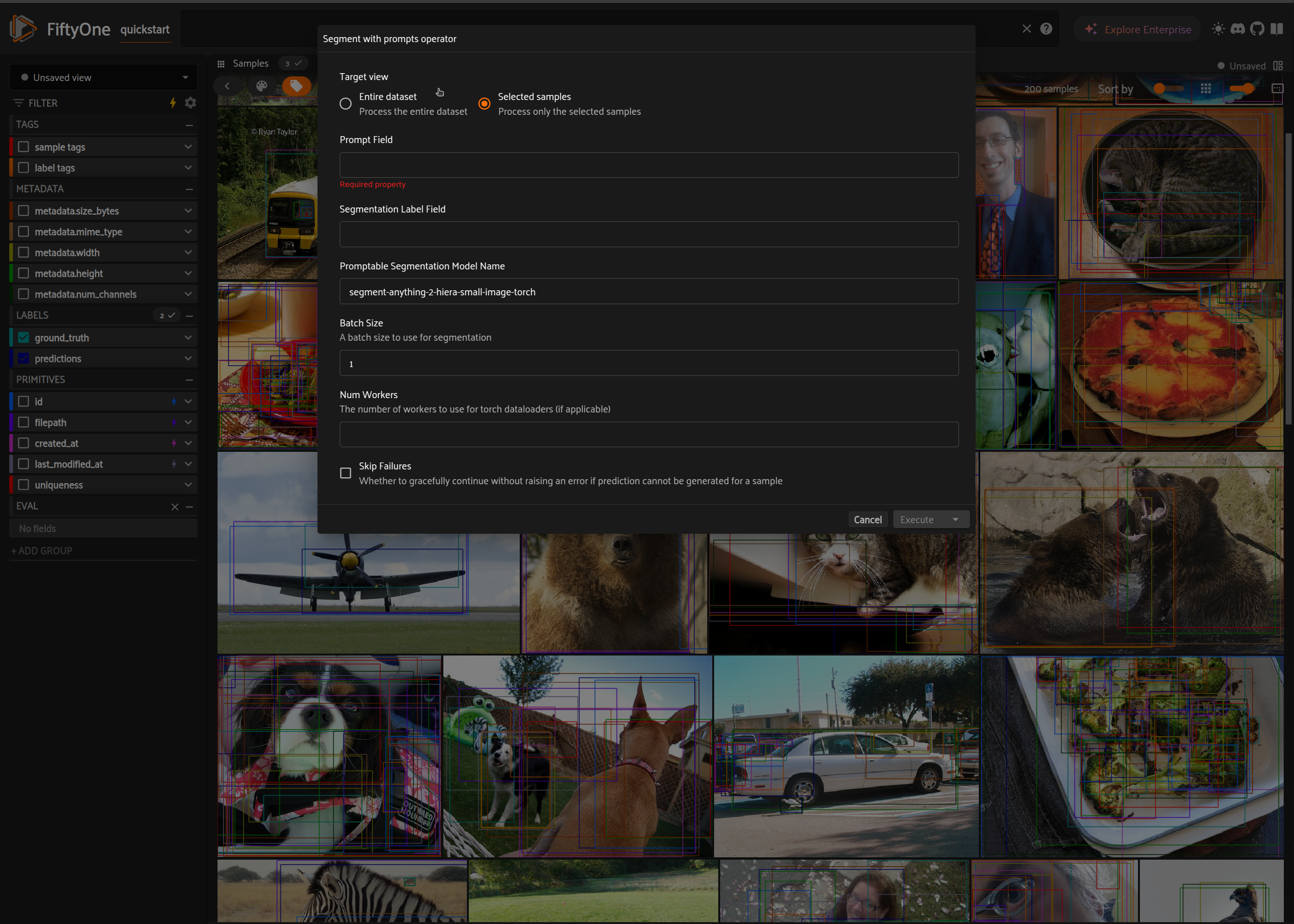 Segment-With-Prompts operator