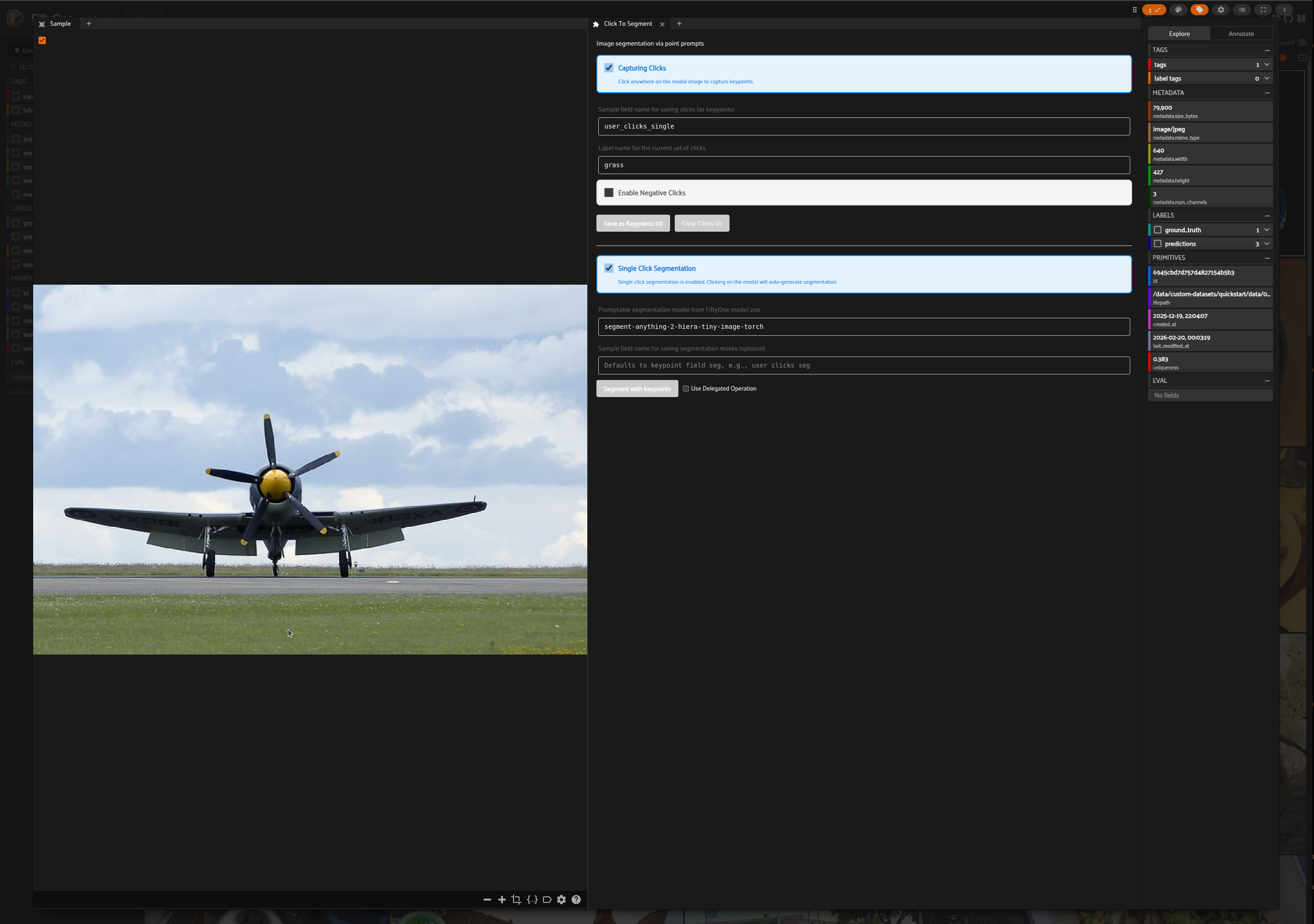 Single Click Segmentation