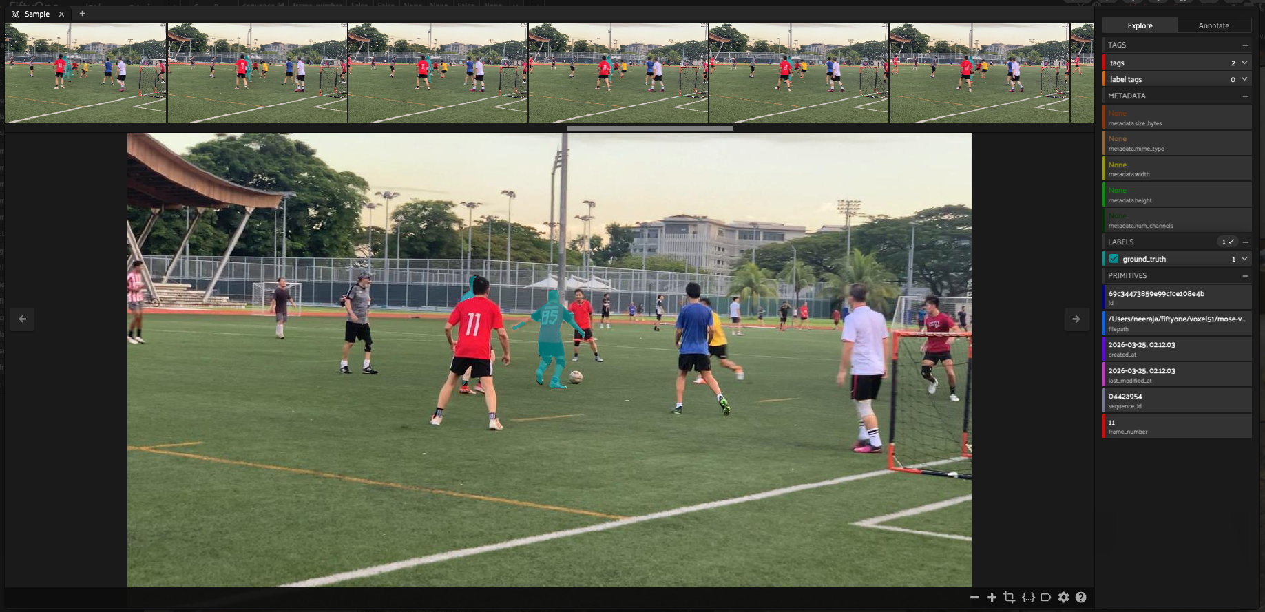 MOSEv2 grouped / carousel view