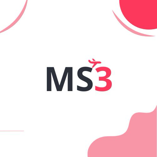 Milestone 3