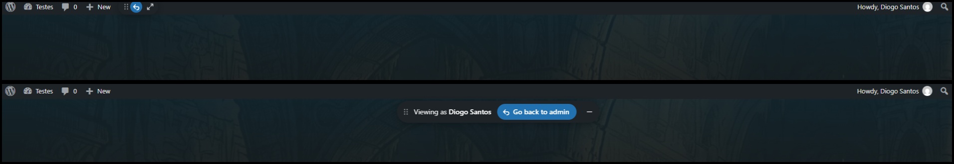 The "Go back to admin" bar pinned to the top center of the site