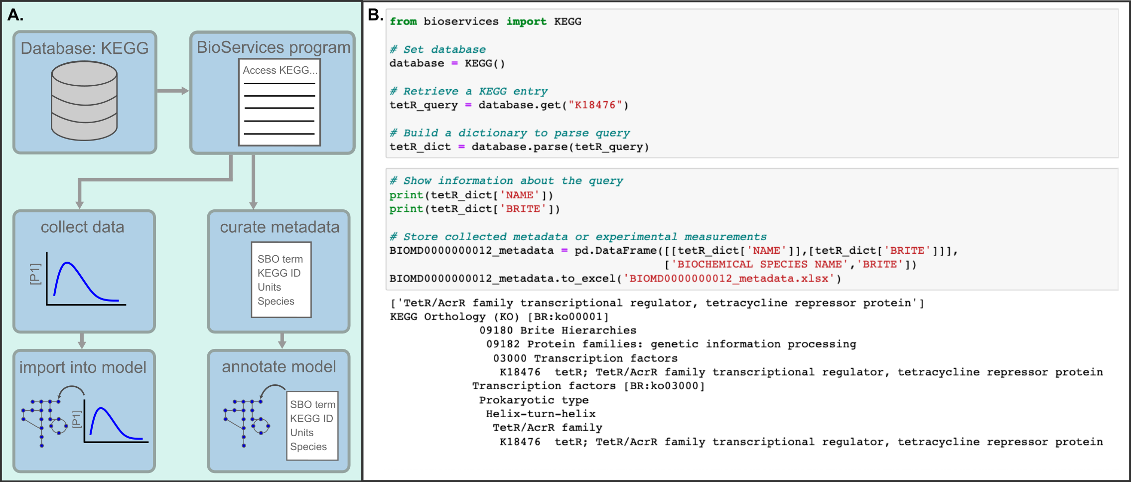 GitHub - vporubsky/COMBINE_reproducible_biomodeling_workflows: The ...