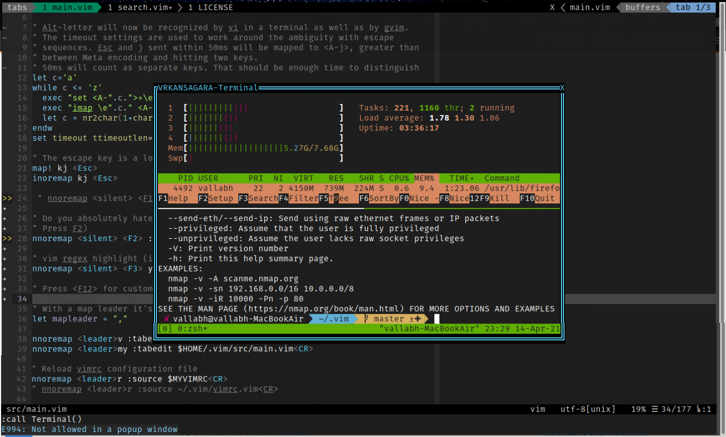 VimTerminal