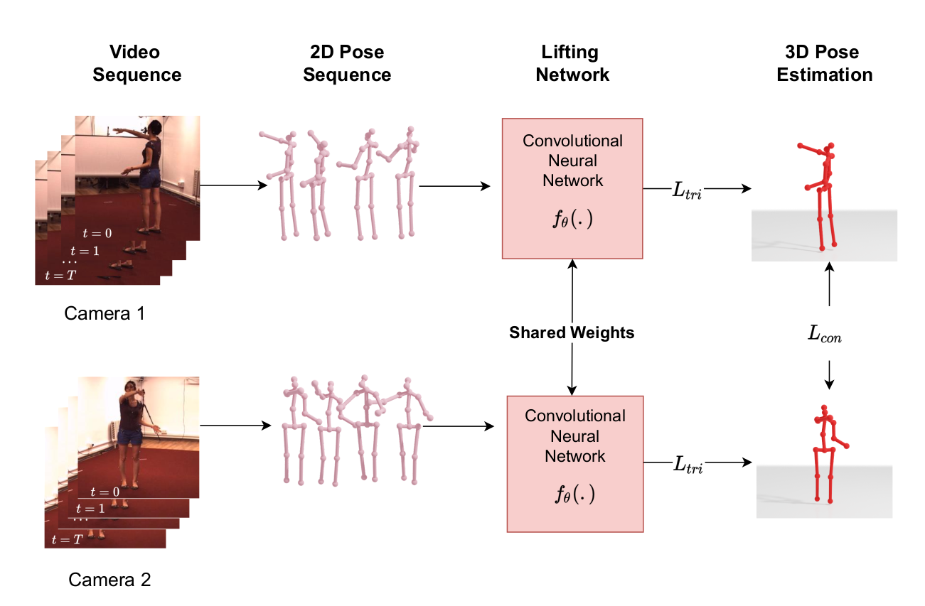 Learning Temporal 3D Human Pose Estimation With Pseudo-Labels | Papers ...