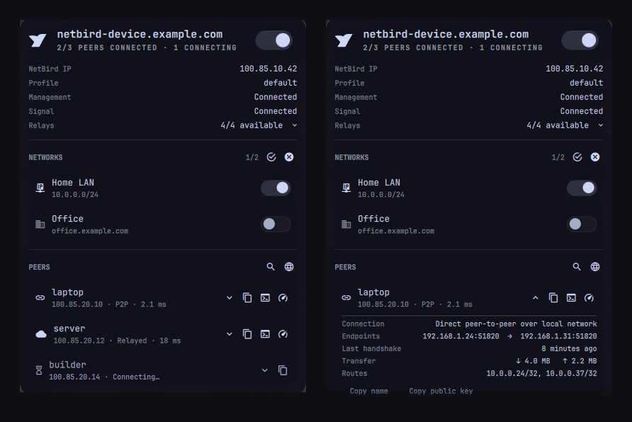 NetBird plugin panel showing connection status, networks, relays, and peers