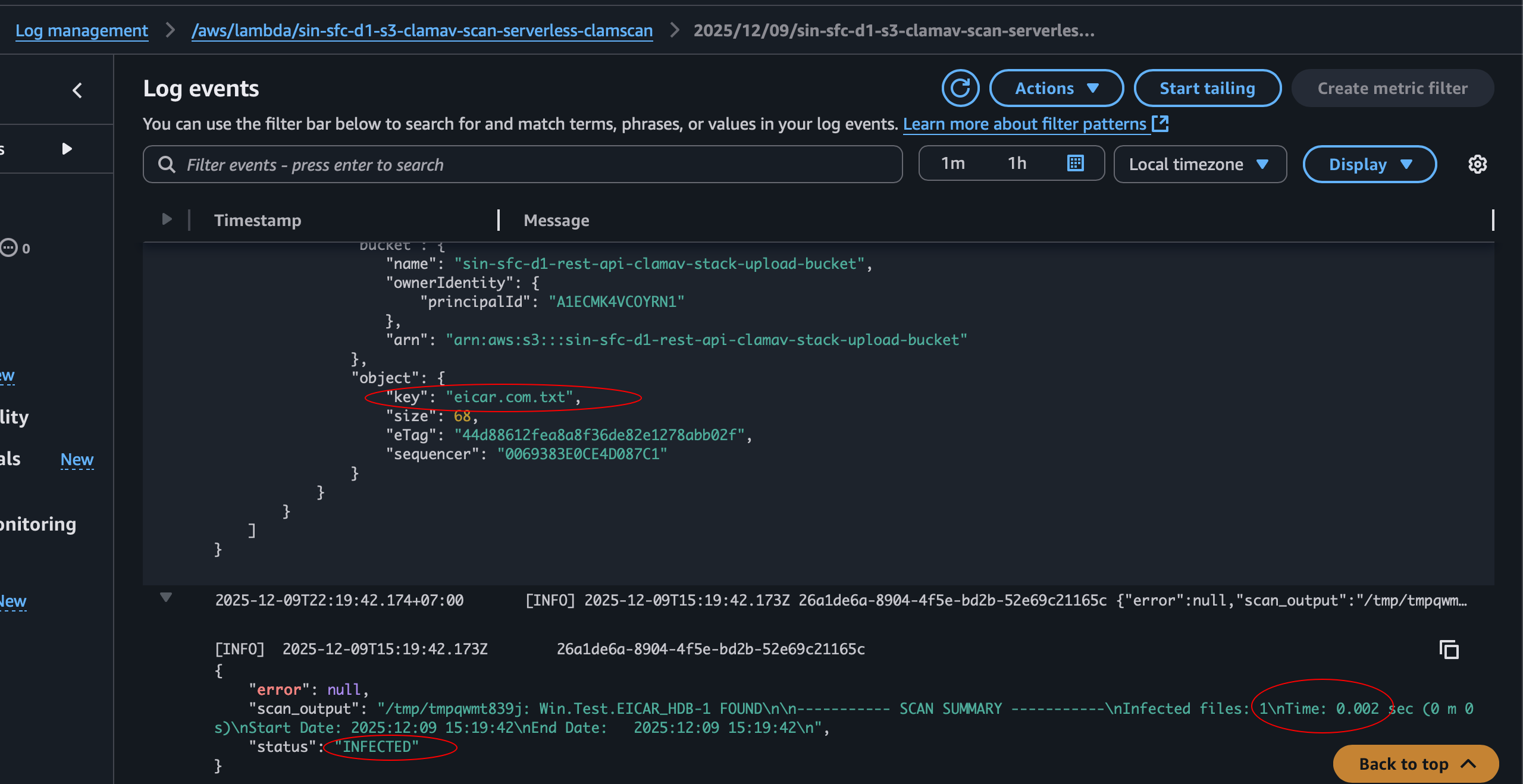 Infected-file scan result