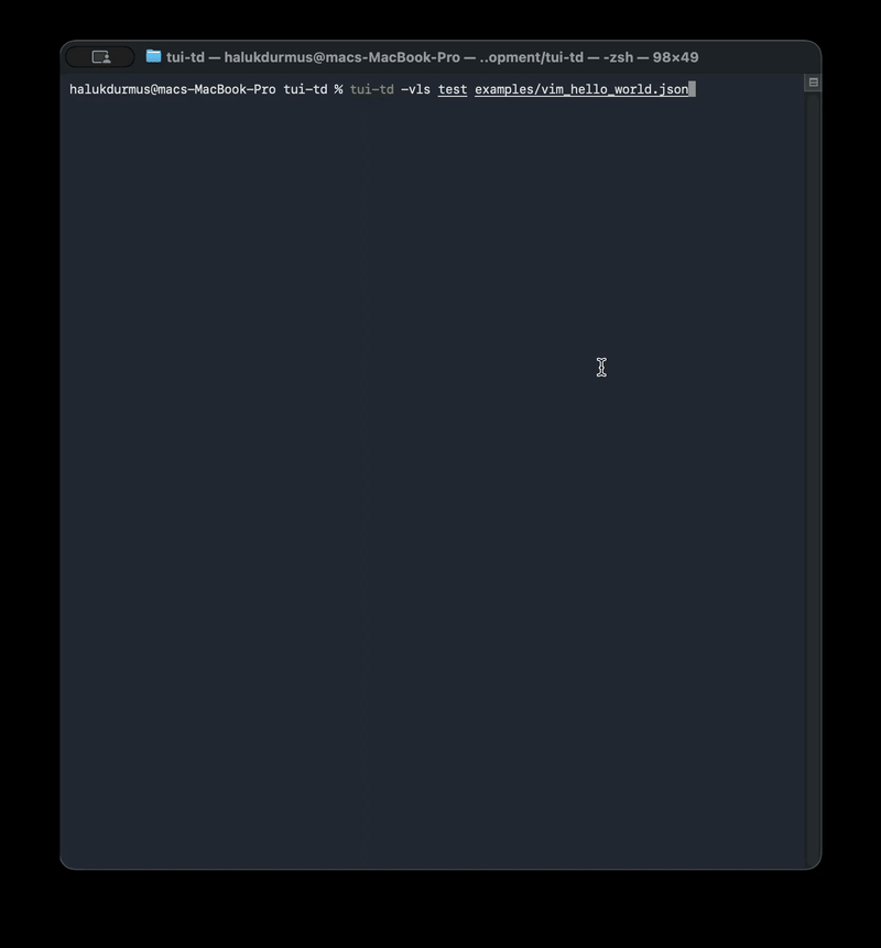 vim test demo