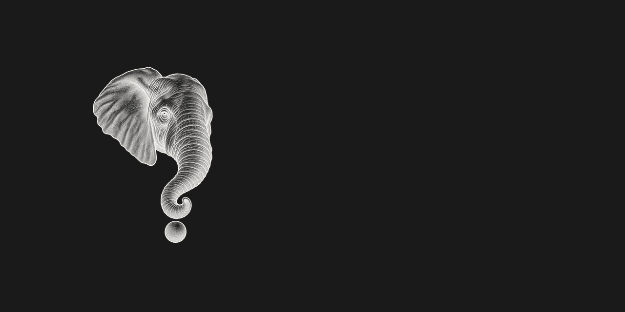 LIWM project artwork