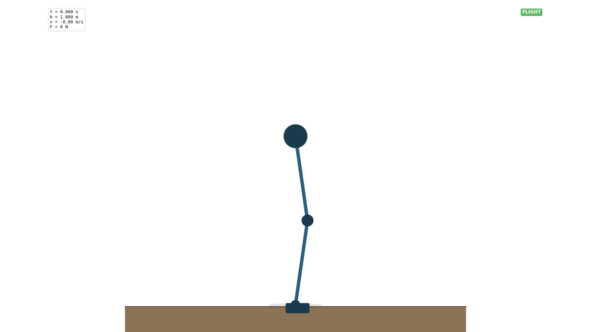 Hopping Animation