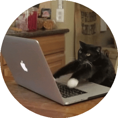 programando