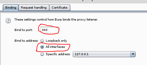 Bind BurpSuite to port 443