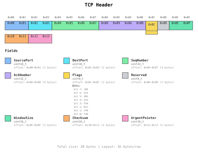 TCP Header Screenshot