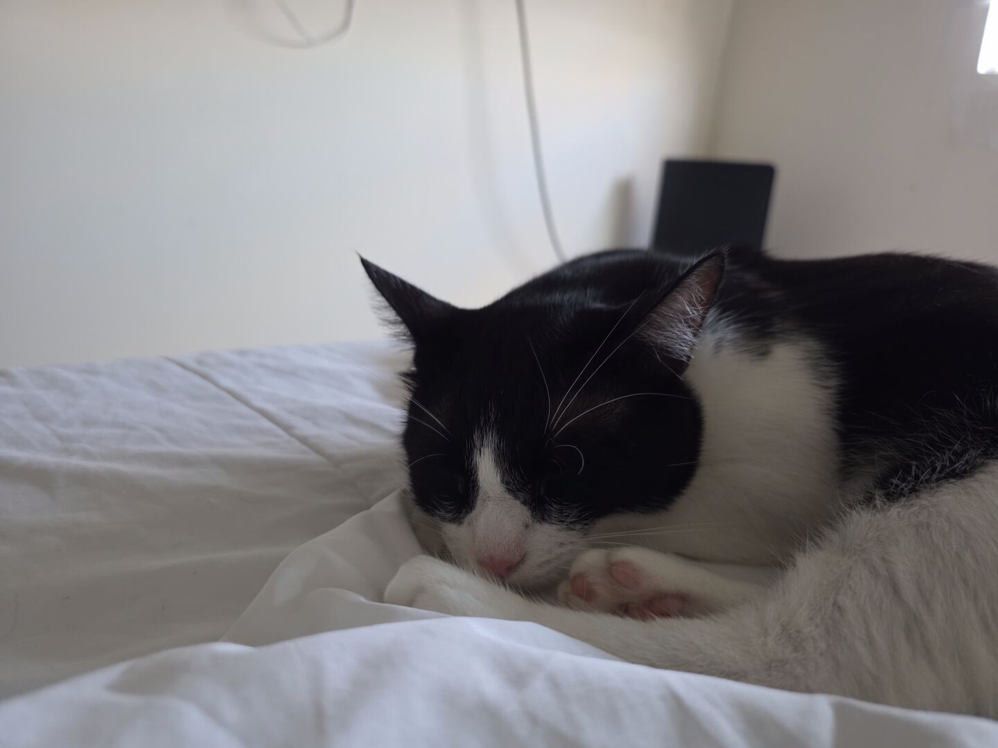 minha bebezinha na soneca diária