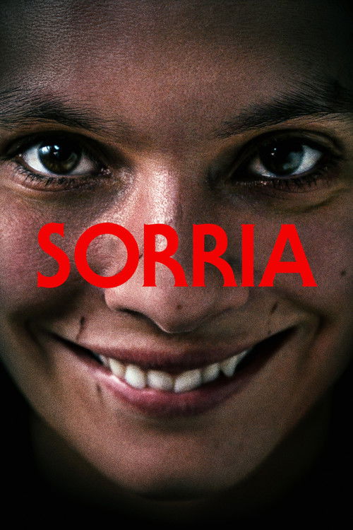 Poster de Sorria