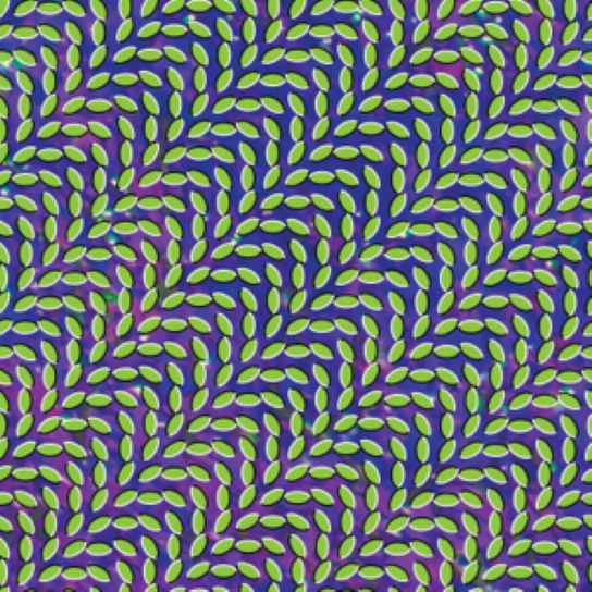 Capa: Merriweather Post Pavilion