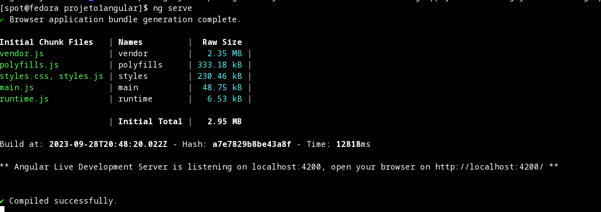 ./projetos/projeto1angular-imgs/ng-serve-output.png
