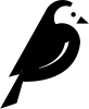 Wagtail