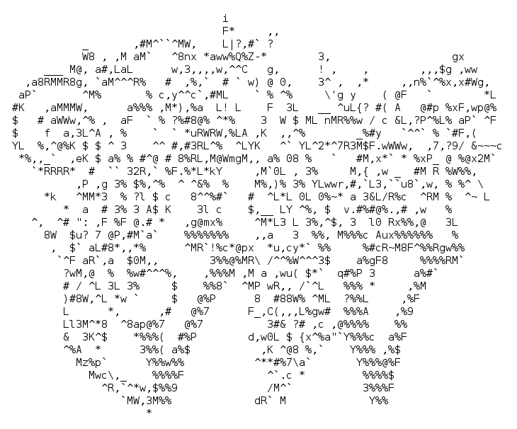 Ascii Net