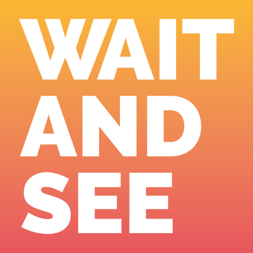 Wait And See Agency logo