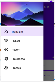 preferences view in popup