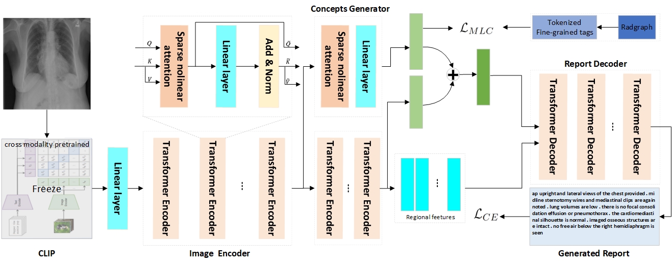 overview of the proposed framework